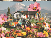 Papier peint panoramique mural représentant une prairie florale alpine surréaliste