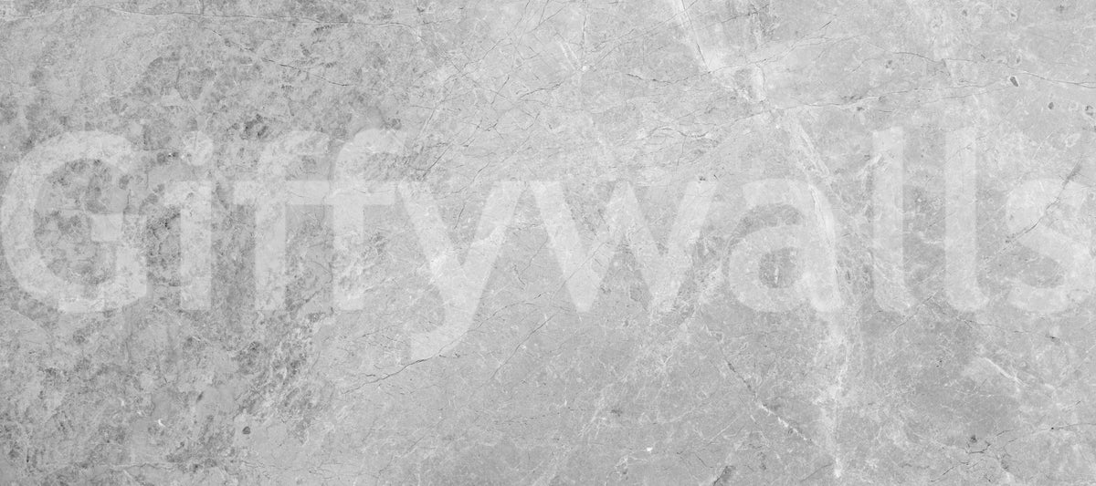 Fotomurale effetto marmo classico grigio chiaro
