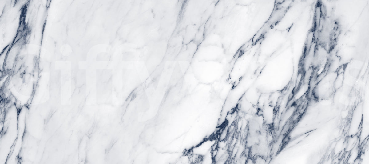 Classic Blue and White Marble Veining Wall Mural