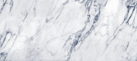 Classic Carrara Marble Vein Wall Mural