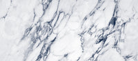 Murale da parete in marmo venato blu e bianco classico