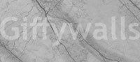 Monochromatic Grey Marble Vein Wall Mural