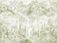Papier peint panoramique Eucalyptus vert - sentier forestier toscan