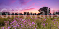 Fotomural de Paisagem de Prado com Horizonte Roxo