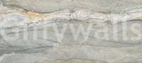 Fresque murale aux veines de marbre gris serein