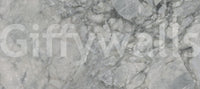 Fresque murale en dalle de marbre gris froid
