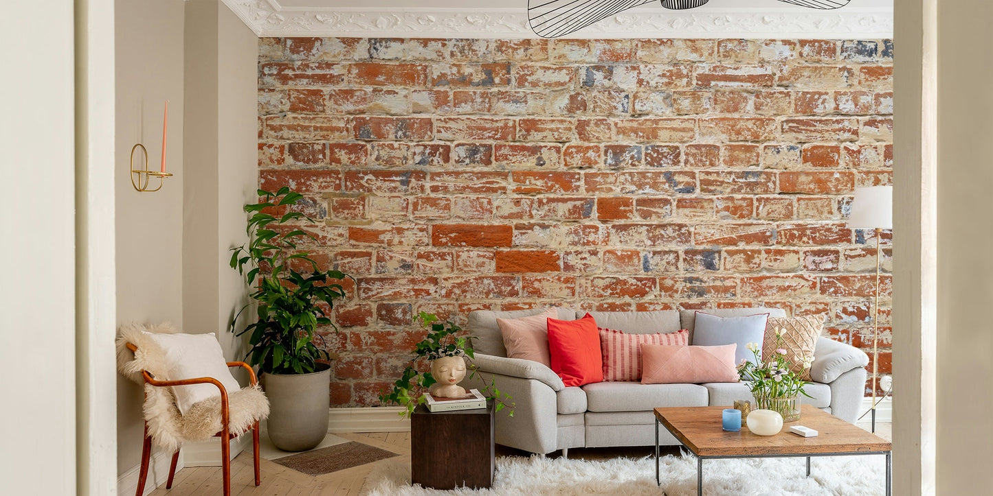 Wall mural showing aged brickwork with soft details

