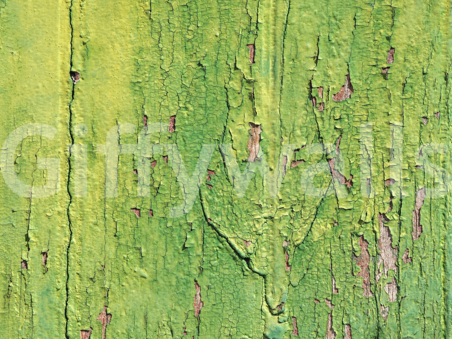 Weathered leaf green mural highlighting intricate paint flake details.