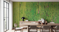 Rustic green for dining room wall mural featuring aged wood and peeling details.