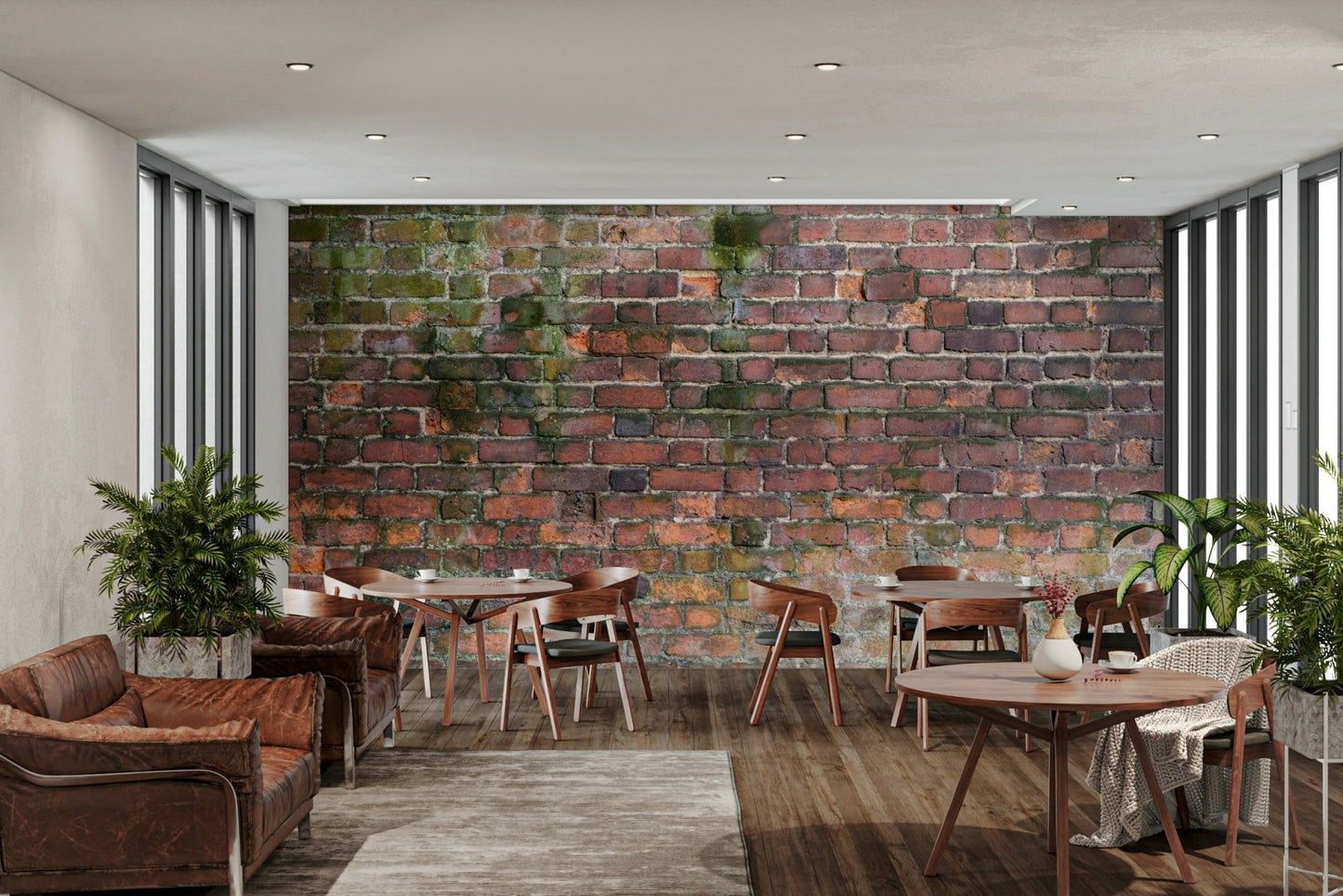 Exposed plaster or faded concrete.

