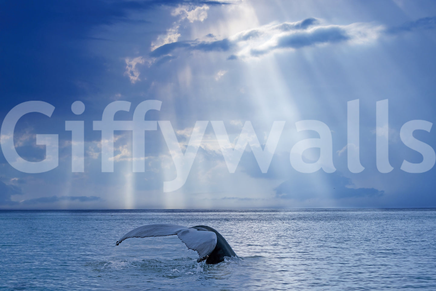 Ocean-themed wallpaper mural in a guest room, soft water hues for a tidy modern look