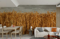 Golden grain field wall mural


