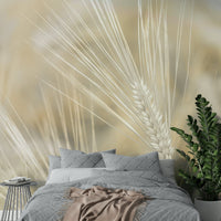 Wheat stalks close-up with muted, soft color tones

