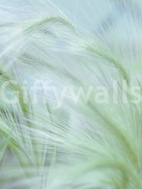 The wallpaper has a smooth, non-reflective matte finish.

