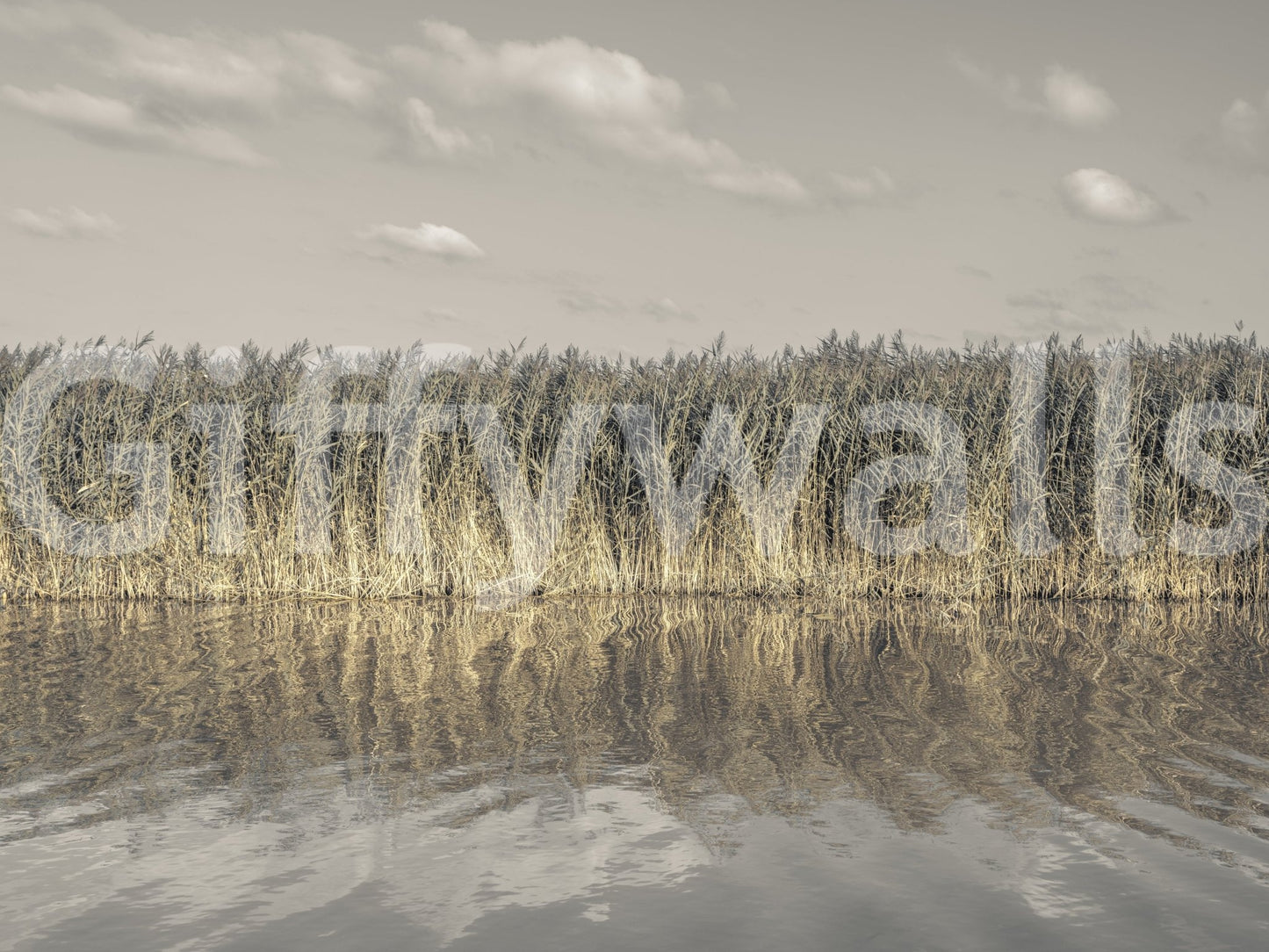 View of the mural from a distance.

