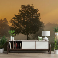 Misty sunrise wall wallpaper

