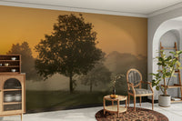 Peaceful dawn wallpaper mural

