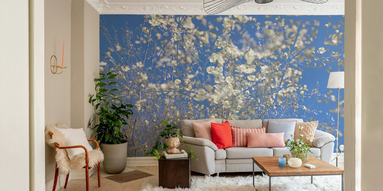 White Blossoms Against a Clear Blue Sky - Spring Nature Photography Wall Mural