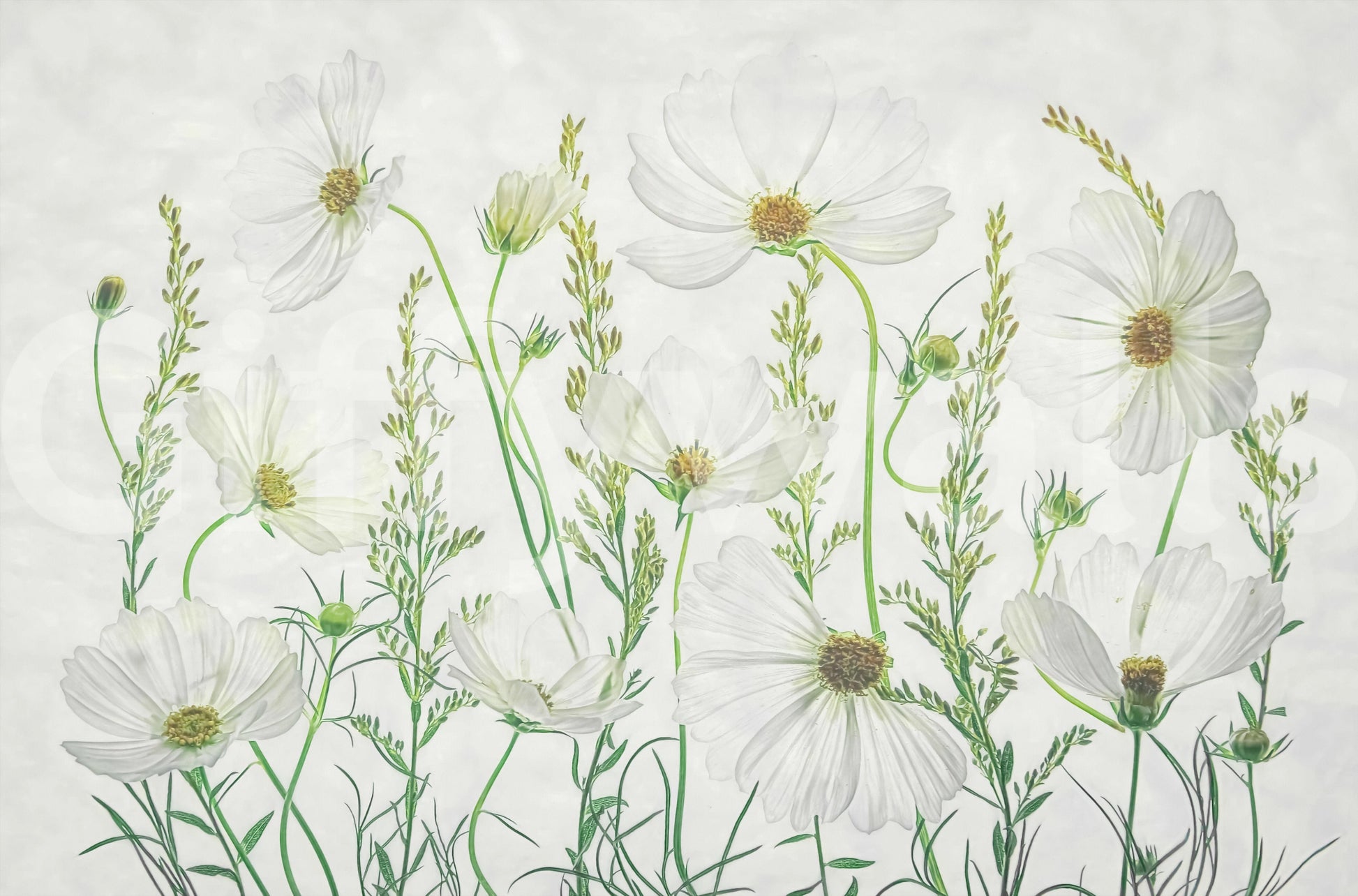 A calming floral design wallpaper mural that defines a space.


