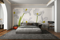 A beautiful pure tulip field wallpaper mural for a modern home.

