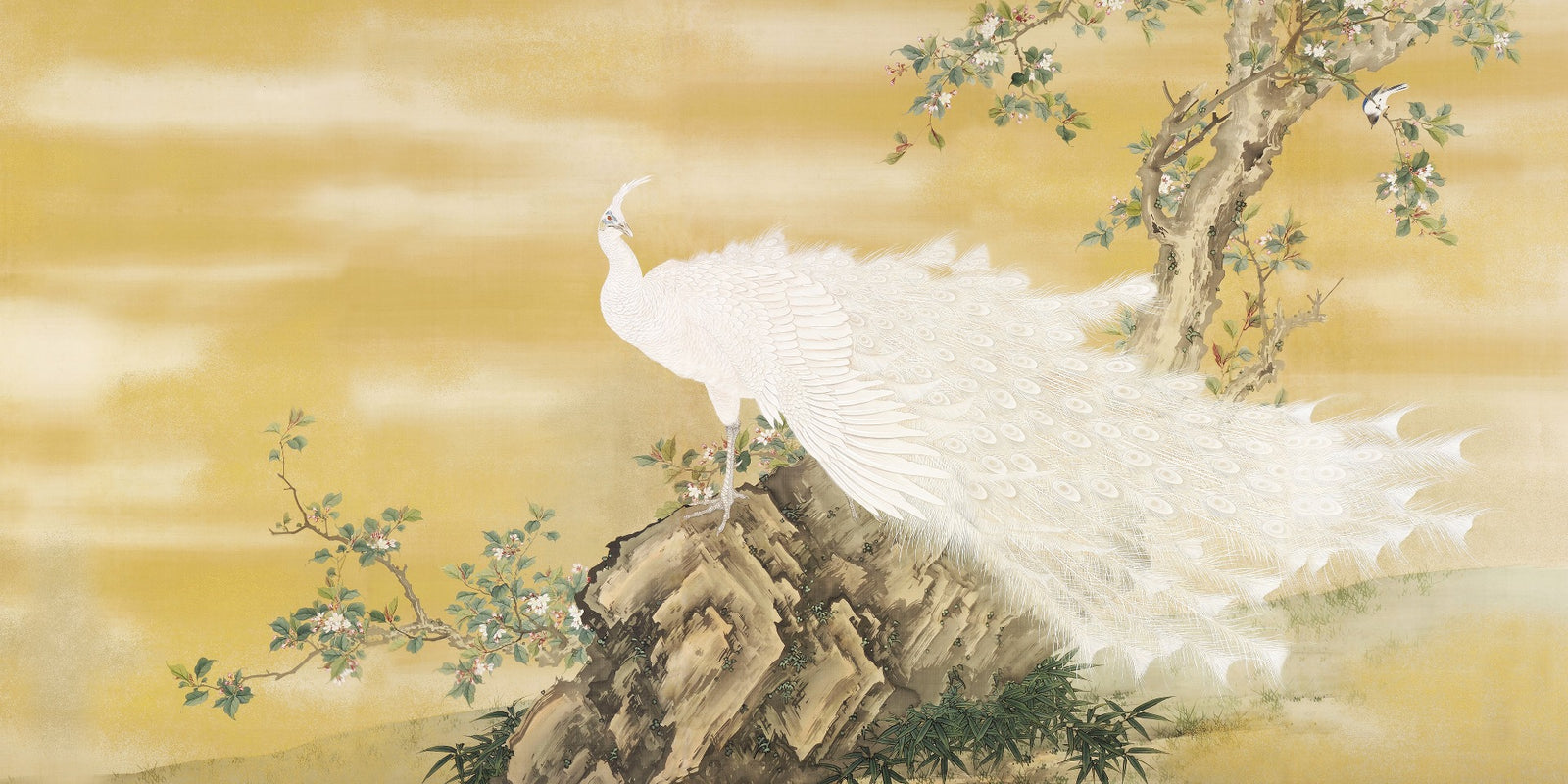 White Peafowl Sitting Rock Wallpaper Murals