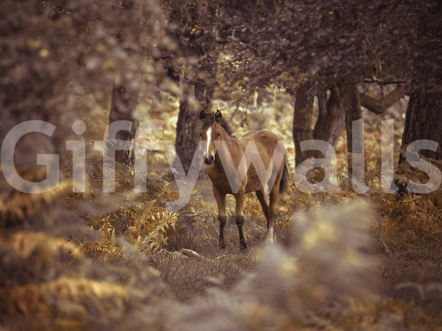 The wallpaper offers an intimate view of a wild horse blending beautifully into a muted forest palette.