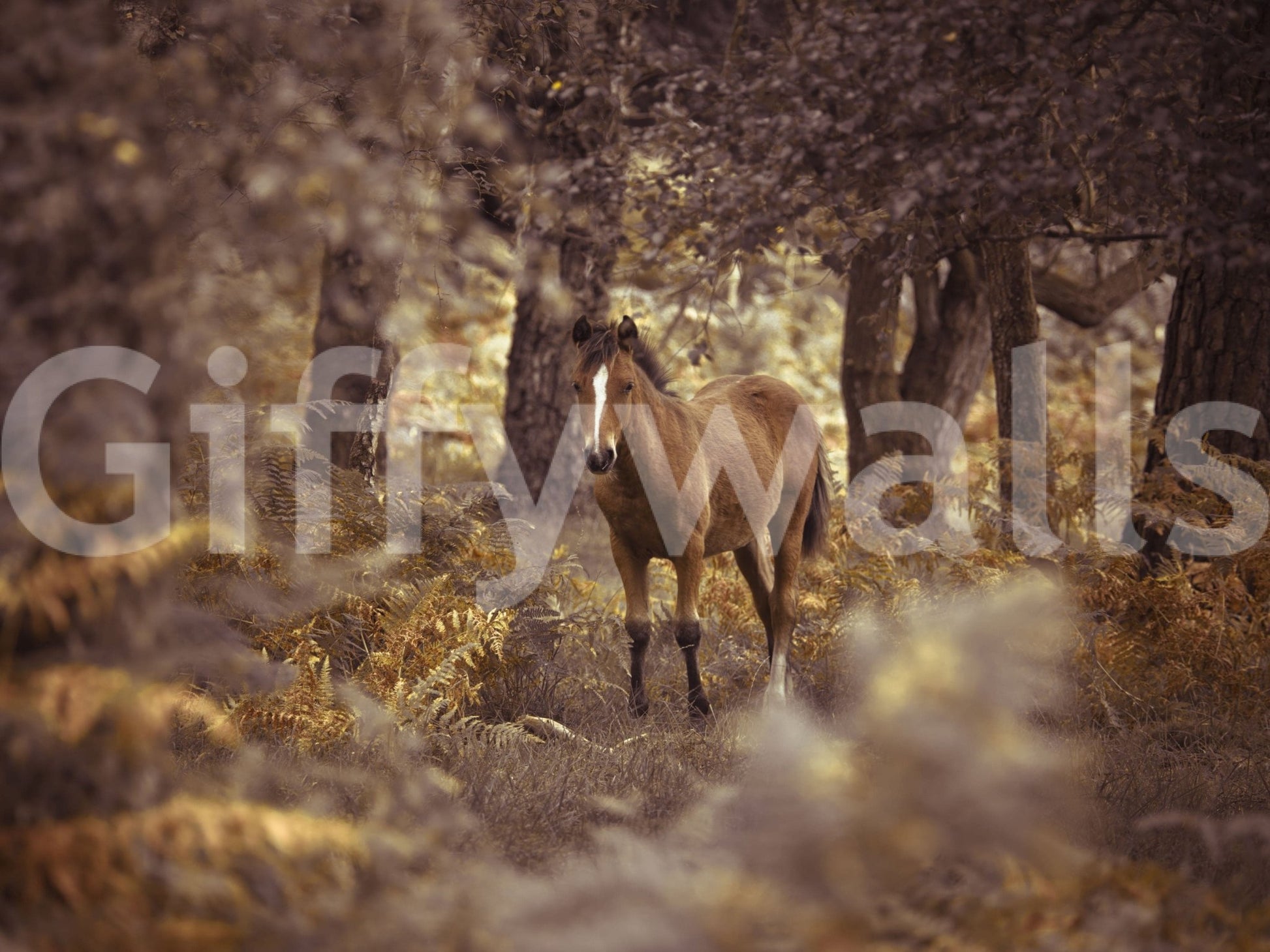 The wallpaper offers an intimate view of a wild horse blending beautifully into a muted forest palette.
