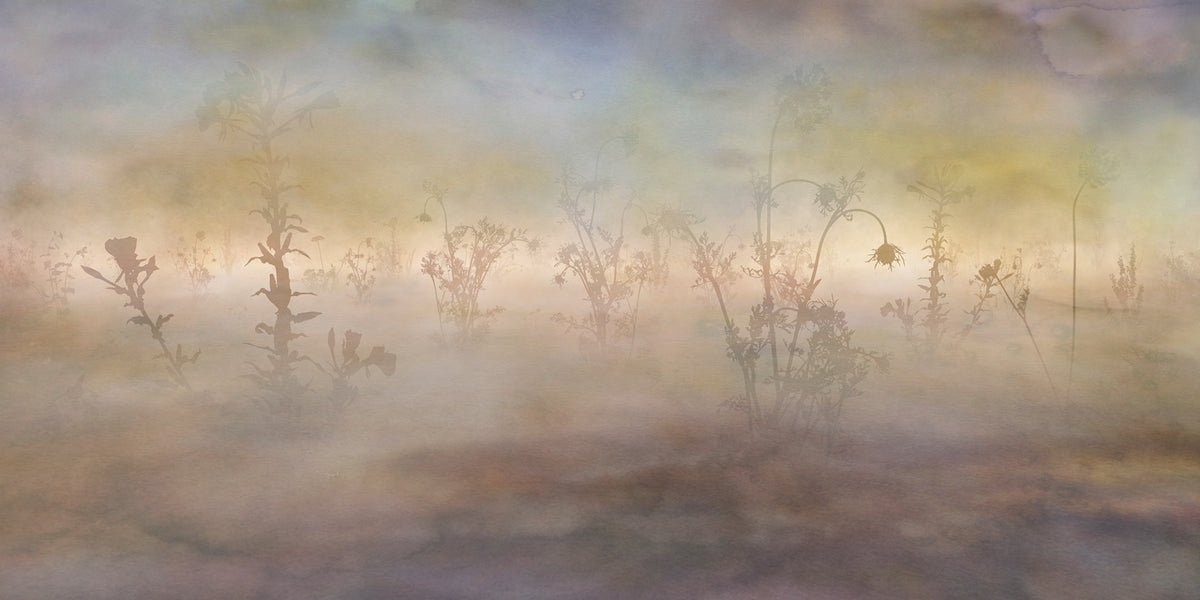 Wild Pastel Flowers Misty Nature Wallpaper Murals in your room