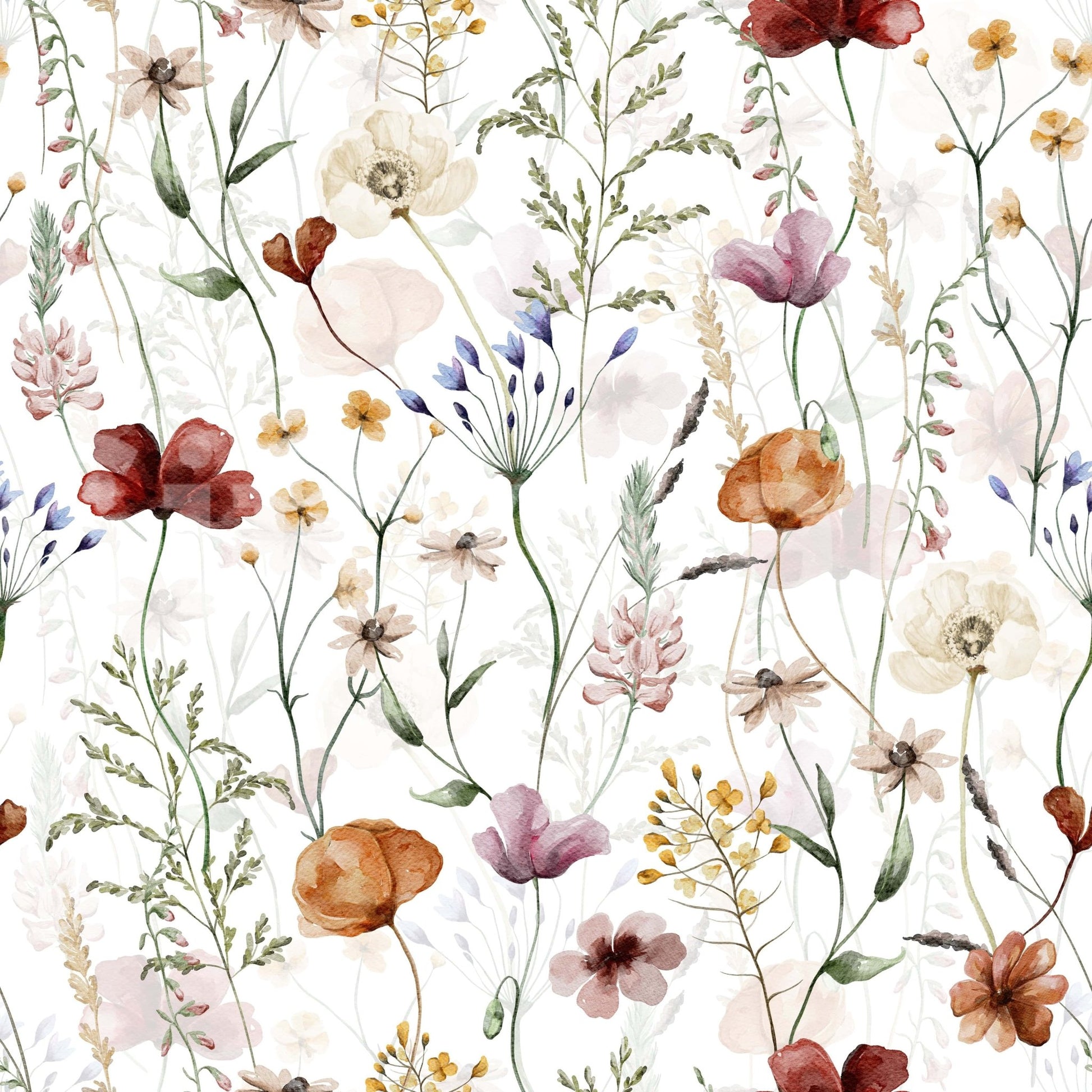 Watercolour poppy wallpaper Wildflower Hues home interior accent.