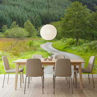 Outdoor mural of a quiet asphalt road amid vibrant Scottish scenery. Serenity decor.