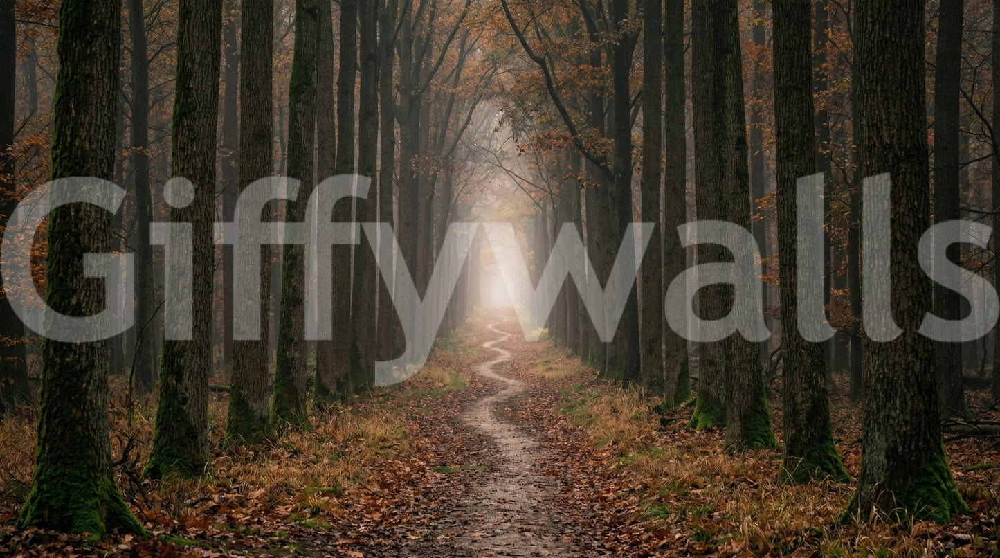 Wandbild „Geschwungener Waldweg“