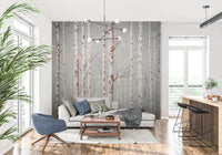 Winter Birch Beauty Wall Mural