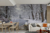 The mural shows a peaceful European street.

