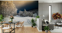 Wall mural, Frozen Footsteps, woodland path, peaceful winter retreat setting.