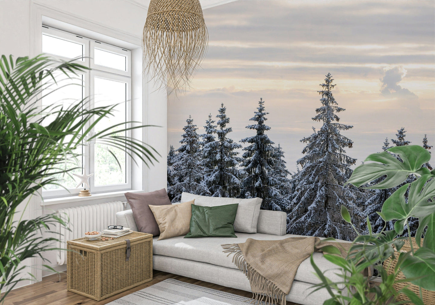 Majestic fir trees winter sky wall mural nature photo view.