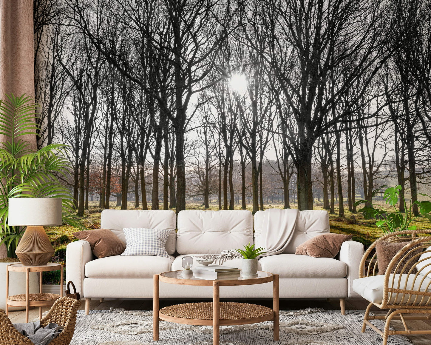 Serene woodland wallpaper capturing morning light streaming through bare tree trunks.