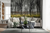 Forest wallpaper with bright sunbeams shining between winter trees over a moss-covered landscape.