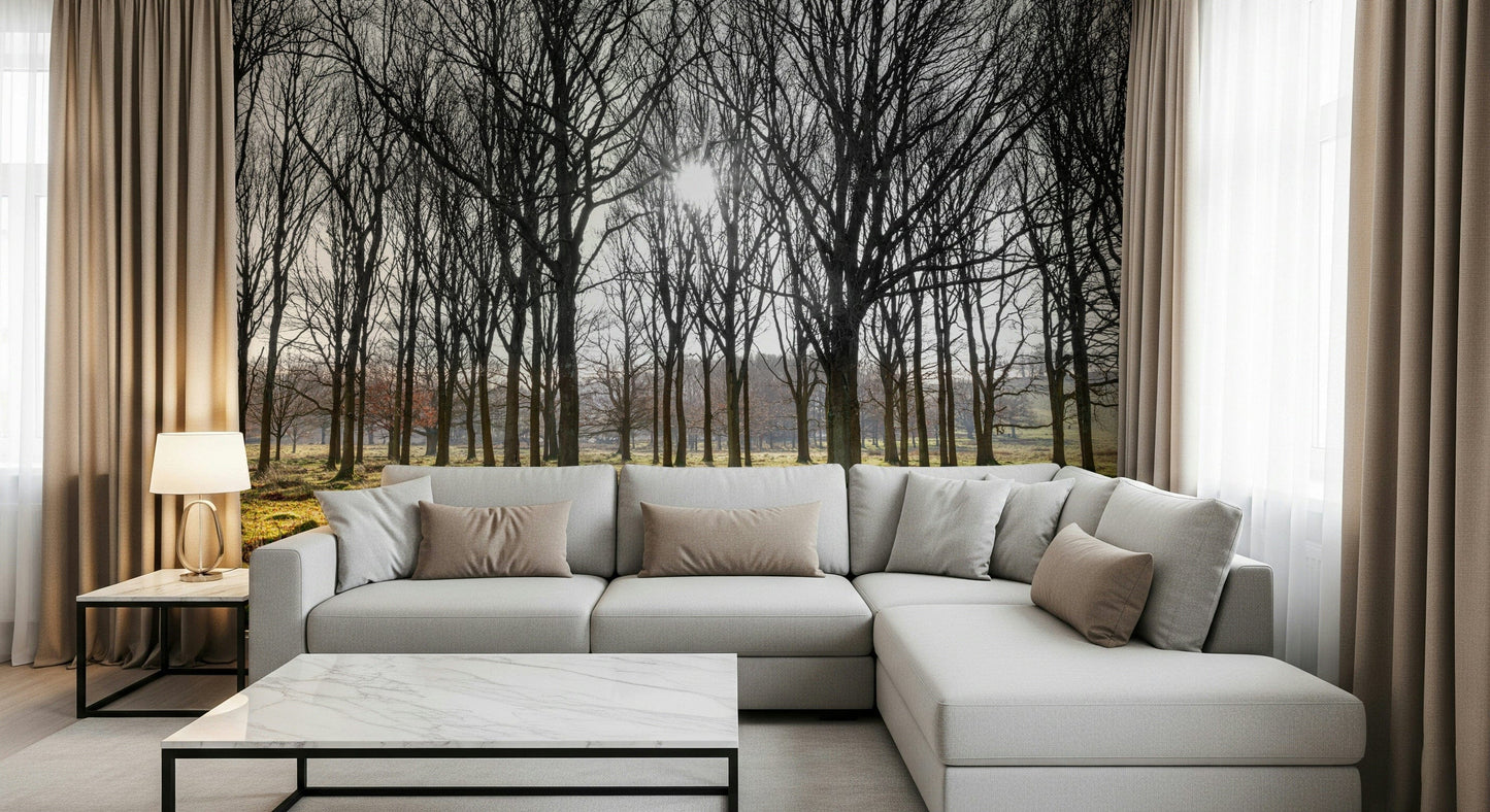 Nature wall mural showing sunlight filtering through dense rows of leafless trees in a forest.