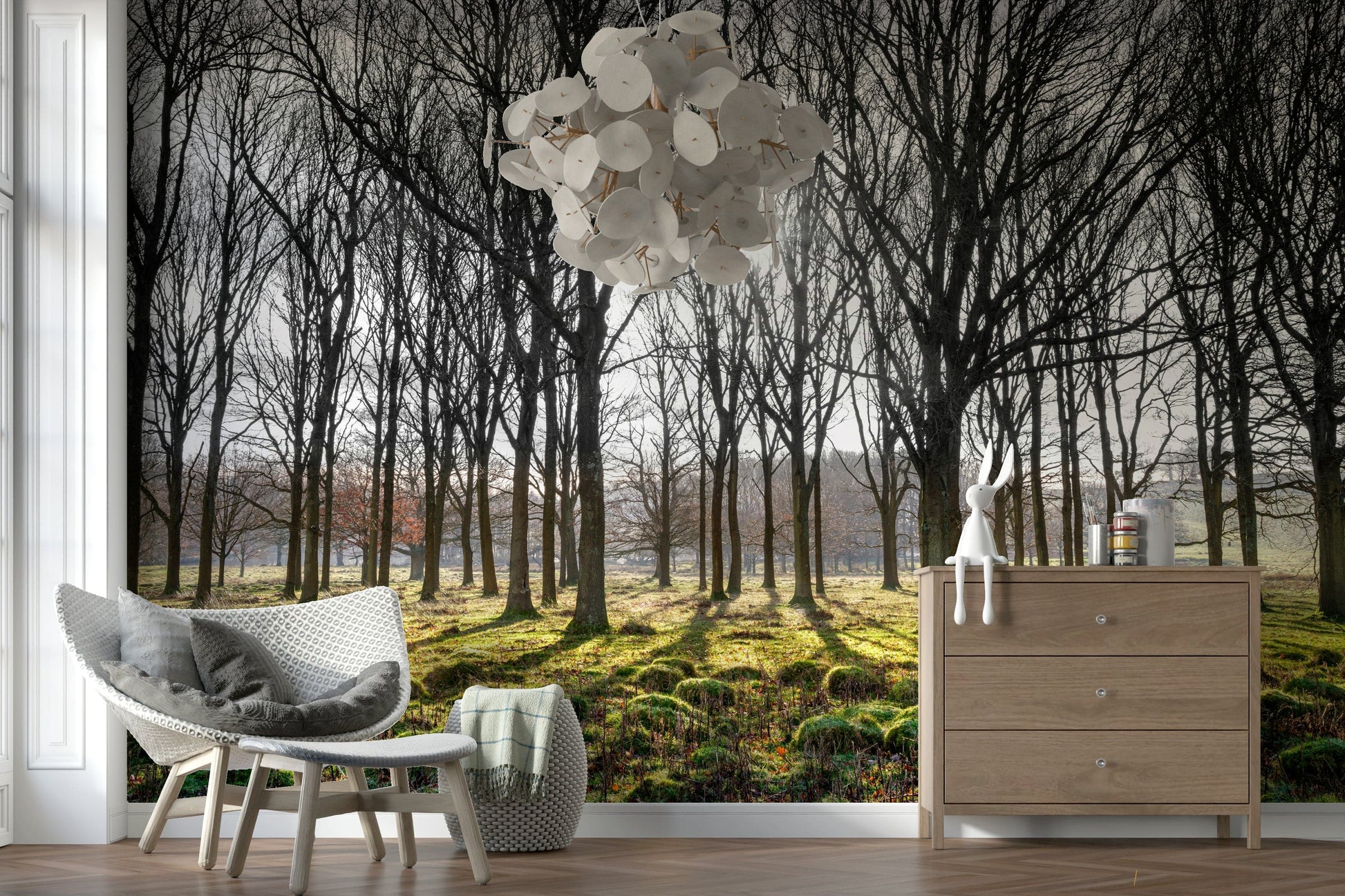 Wallpaper featuring a sunlit forest with tall bare trees casting long shadows over a mossy green ground.