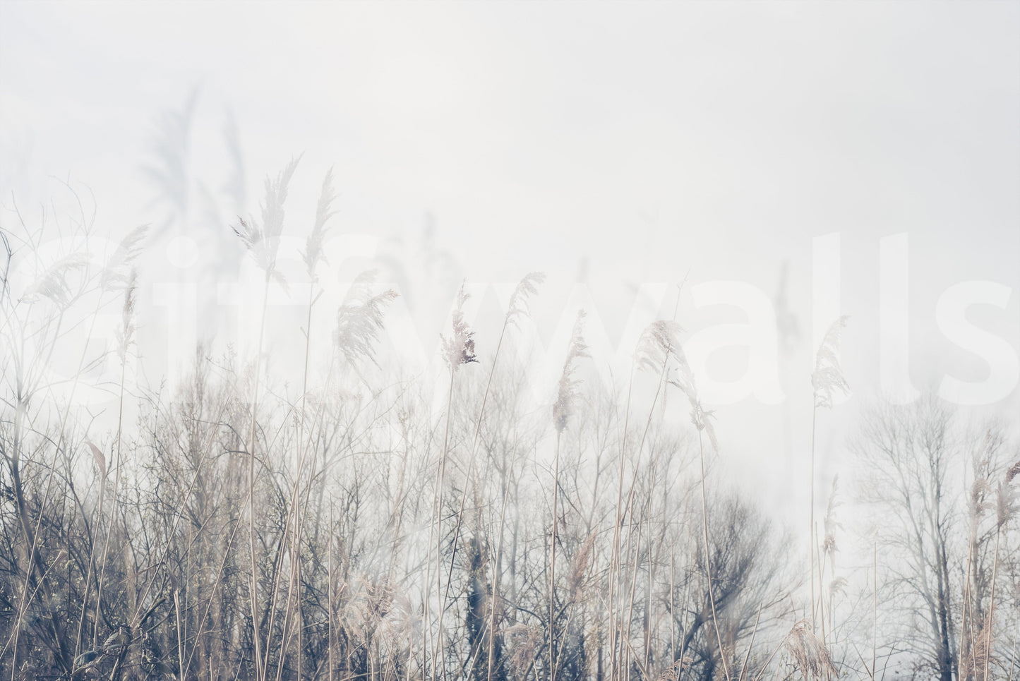 Winter Whispers Wall Mural -2672653