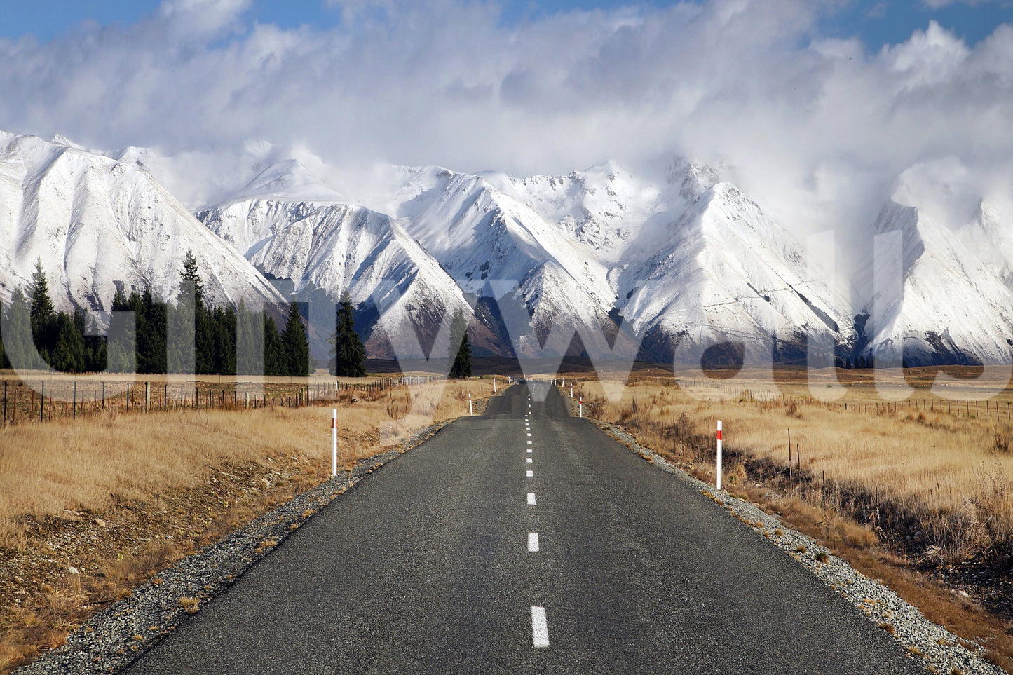 Snowy lane wallpaper mural in bedroom, soft winter light, calm wall decor