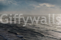 A detail of the dark tones in the water and shore.

