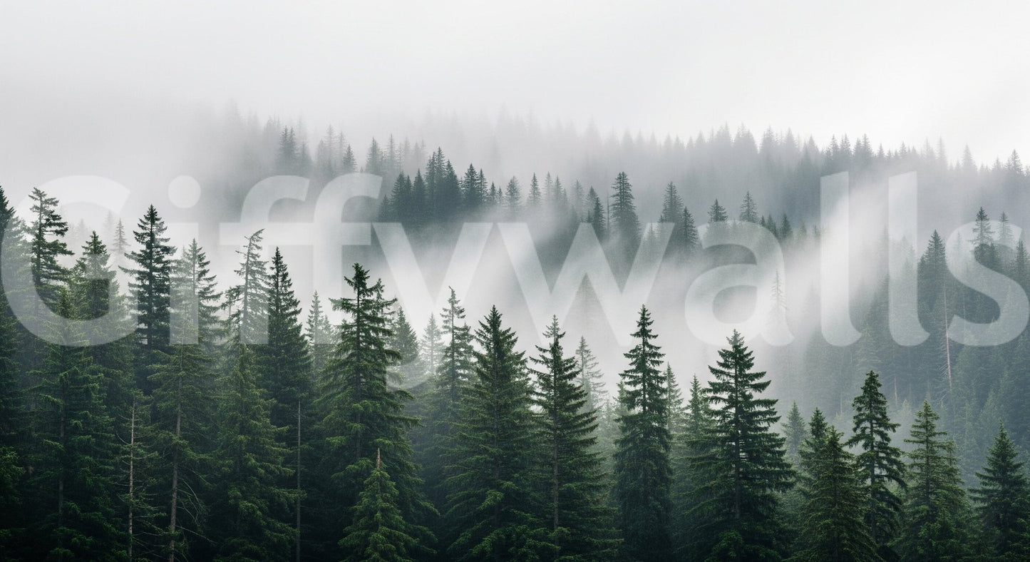 Foggy woodland wallpaper mural for entryway, soft landscape for modern wall decor