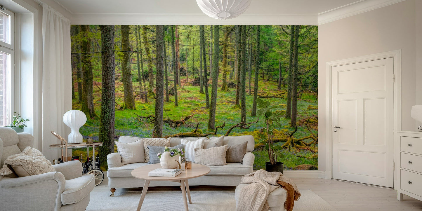 Soft light and serene atmosphere.

