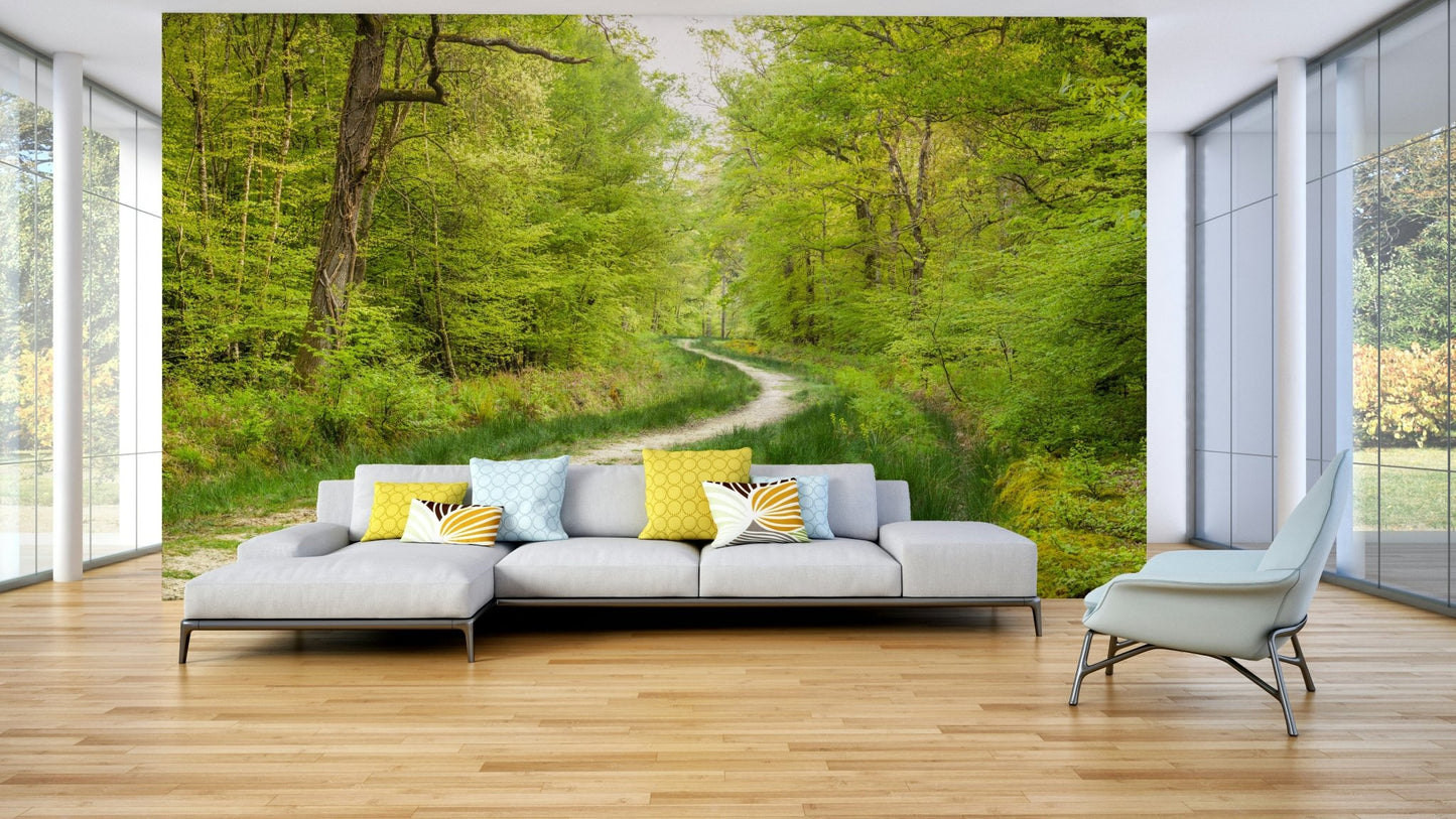 Scenic forest walk wallpaper

