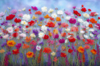 Brings the beauty of the outdoors inside

