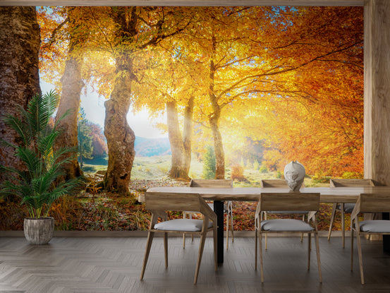 Yellow Autumn Leaves Forest wallpaper mural shown as a full feature wall that highlights the design