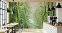 Bamboo grove wallpaper mural for bedroom, soft green background and tall bamboo