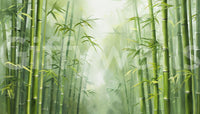 Zen Bamboo Forest Wall Mural for office meeting room, calm nature backdrop