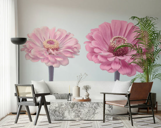 Zinnia Dream wallpaper mural of two large pink zinnia blooms in a living room with a white sofa and leather chair